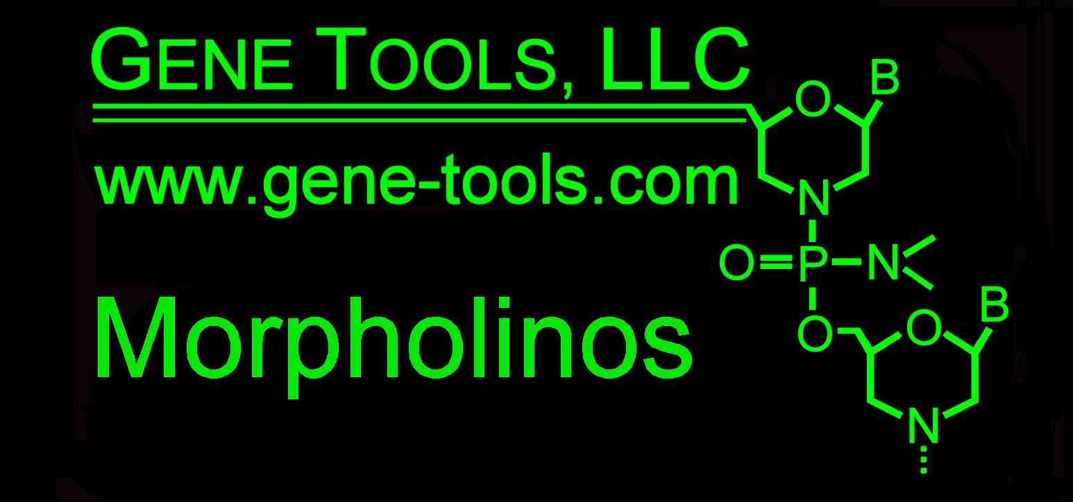 gene-tools-llc